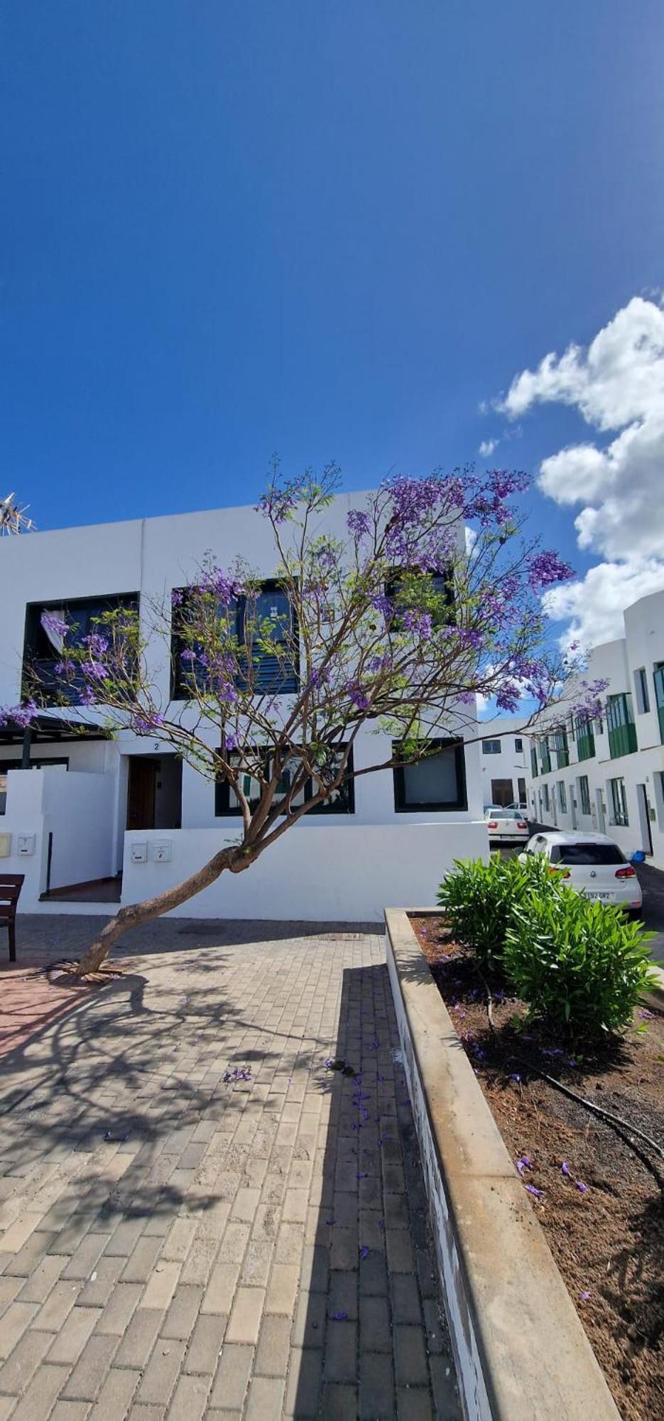 פלאיה בלנקה Apartamento Margarita מראה חיצוני תמונה